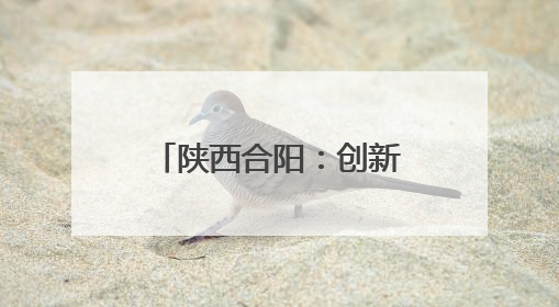 陕西合阳：创新村规民约让乡村治理焕发新的生机