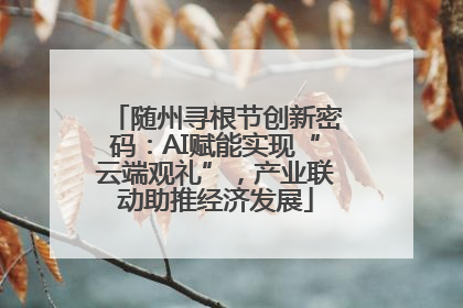 随州寻根节创新密码：AI赋能实现“云端观礼”，产业联动助推经济发展