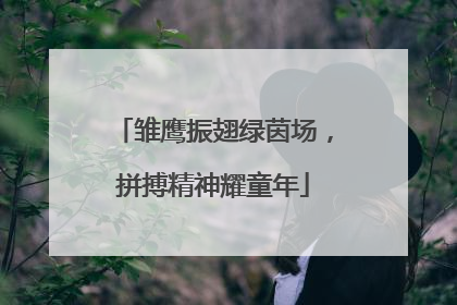 雏鹰振翅绿茵场，拼搏精神耀童年