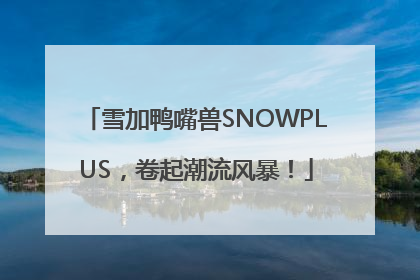 雪加鸭嘴兽SNOWPLUS，卷起潮流风暴！