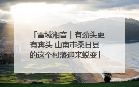 雪域湘音｜有劲头更有奔头 山南市桑日县的这个村落迎来蜕变