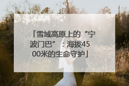 雪域高原上的“宁波门巴”：海拔4500米的生命守护