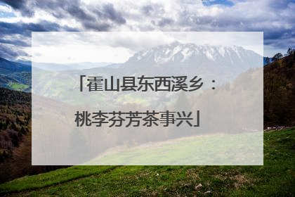 霍山县东西溪乡：桃李芬芳茶事兴