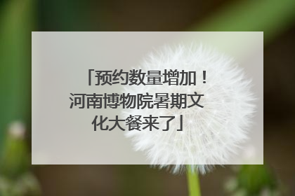 预约数量增加！河南博物院暑期文化大餐来了