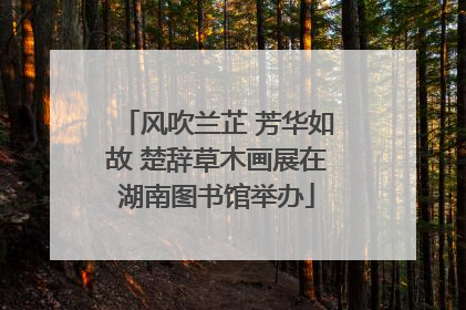 风吹兰芷 芳华如故 楚辞草木画展在湖南图书馆举办