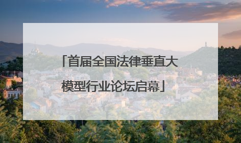 首届全国法律垂直大模型行业论坛启幕