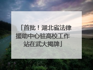首批！湖北省法律援助中心驻高校工作站在武大揭牌