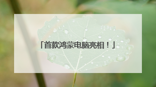 首款鸿蒙电脑亮相！