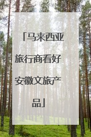 马来西亚旅行商看好安徽文旅产品
