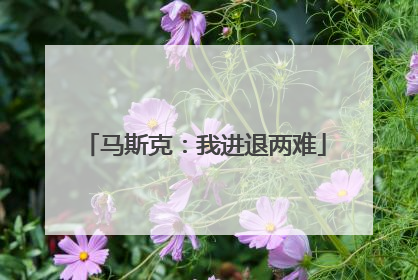 马斯克：我进退两难