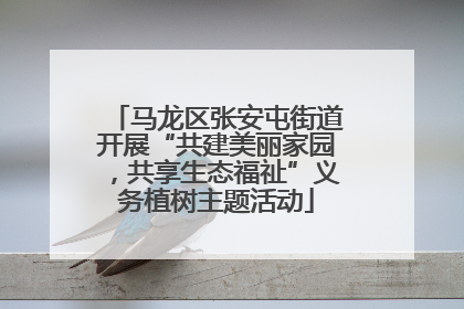 马龙区张安屯街道开展“共建美丽家园，共享生态福祉”义务植树主题活动