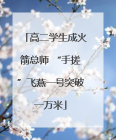 高二学生成火箭总师 “手搓”飞燕一号突破一万米