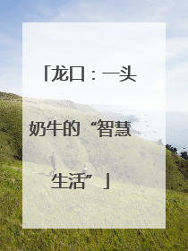 龙口：一头奶牛的“智慧生活”
