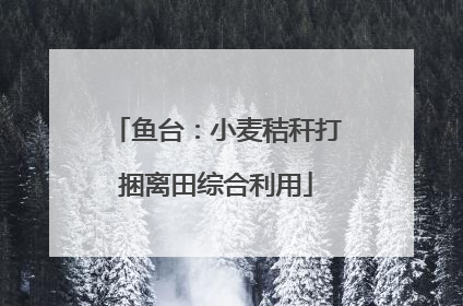 鱼台：小麦秸秆打捆离田综合利用