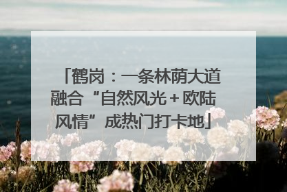 鹤岗：一条林荫大道融合“自然风光＋欧陆风情”成热门打卡地