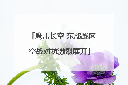 鹰击长空 东部战区空战对抗激烈展开
