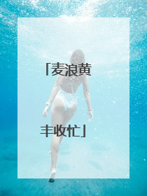 麦浪黄 丰收忙