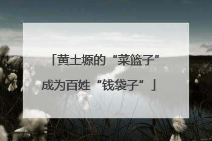 黄土塬的“菜篮子”成为百姓“钱袋子”