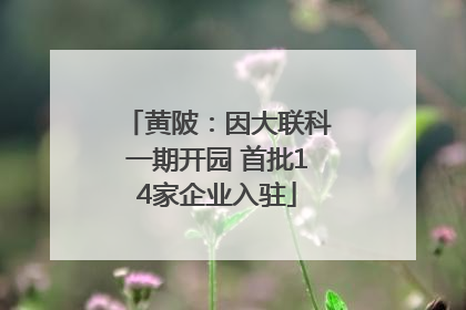 黄陂：因大联科一期开园 首批14家企业入驻