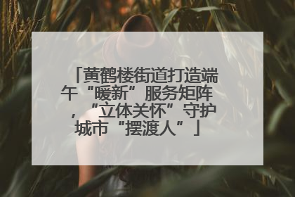 黄鹤楼街道打造端午“暖新”服务矩阵，“立体关怀”守护城市“摆渡人”