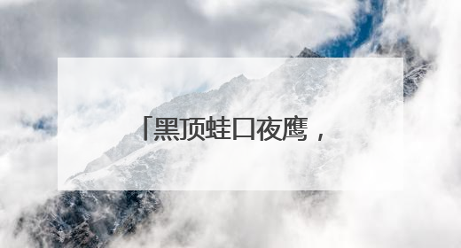 黑顶蛙口夜鹰，中国唯一蟆口鸱科物种现身临沧