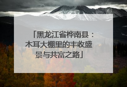 黑龙江省桦南县：木耳大棚里的丰收盛景与共富之路
