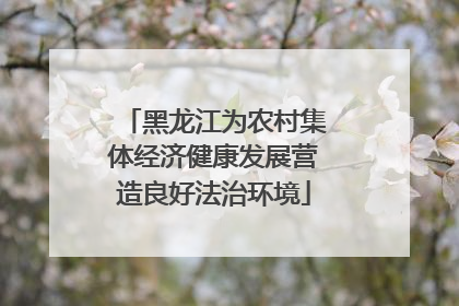 黑龙江为农村集体经济健康发展营造良好法治环境
