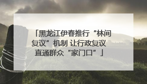 黑龙江伊春推行“林间复议”机制 让行政复议直通群众“家门口”