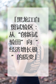黑龙江自贸试验区：从“创新试验田”向“经济增长极”的质变