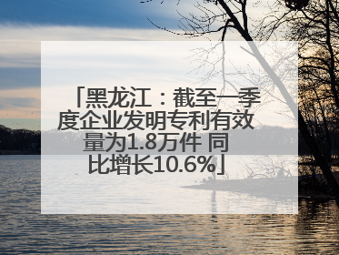 黑龙江：截至一季度企业发明专利有效量为1.8万件 同比增长10.6%