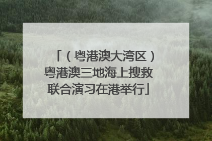 （粤港澳大湾区）粤港澳三地海上搜救联合演习在港举行
