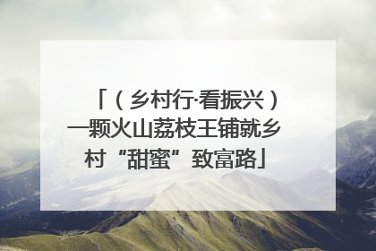 （乡村行·看振兴）一颗火山荔枝王铺就乡村“甜蜜”致富路