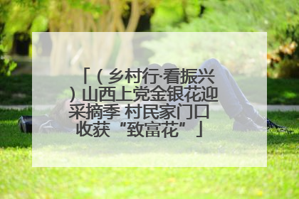 （乡村行·看振兴）山西上党金银花迎采摘季 村民家门口收获“致富花”
