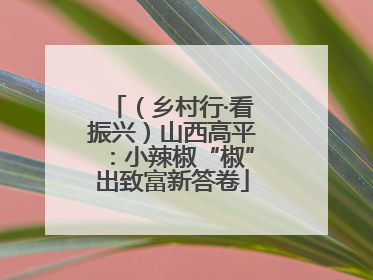 （乡村行·看振兴）山西高平：小辣椒“椒”出致富新答卷