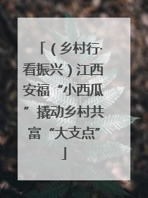 （乡村行·看振兴）江西安福“小西瓜”撬动乡村共富“大支点”
