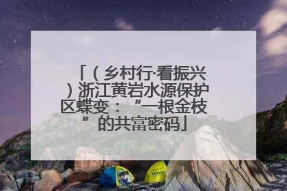 （乡村行·看振兴）浙江黄岩水源保护区蝶变：“一根金枝”的共富密码