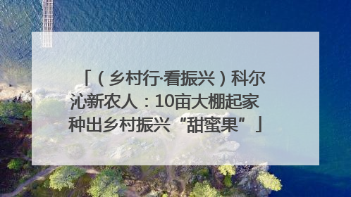（乡村行·看振兴）科尔沁新农人：10亩大棚起家种出乡村振兴“甜蜜果”