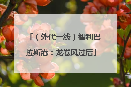 （外代一线）智利巴拉斯港：龙卷风过后