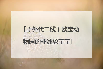 （外代二线）欧宝动物园的非洲象宝宝