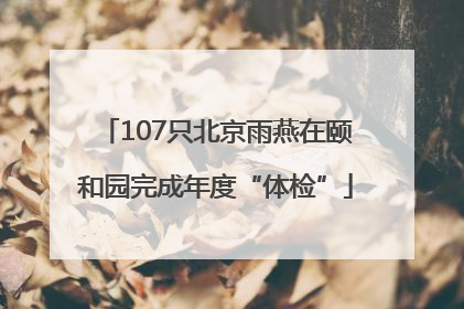 107只北京雨燕在颐和园完成年度“体检”