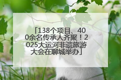 138个项目、400余名传承人齐聚！2025大运河非遗旅游大会在聊城举办