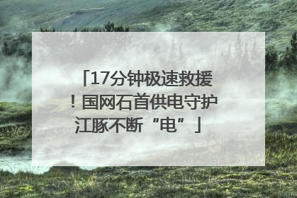 17分钟极速救援！国网石首供电守护江豚不断“电”