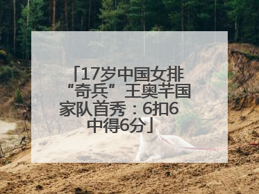 17岁中国女排“奇兵”王奥芊国家队首秀：6扣6中得6分