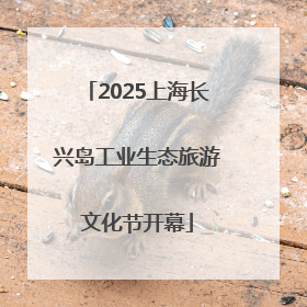 2025上海长兴岛工业生态旅游文化节开幕