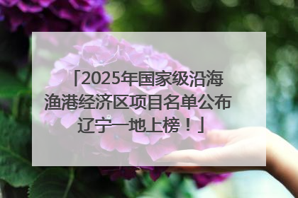 2025年国家级沿海渔港经济区项目名单公布 辽宁一地上榜！