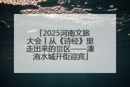 2025河南文旅大会丨从《诗经》里走出来的景区——溱洧水城开街迎宾
