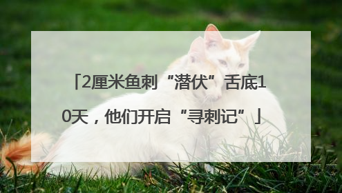2厘米鱼刺“潜伏”舌底10天，他们开启“寻刺记”