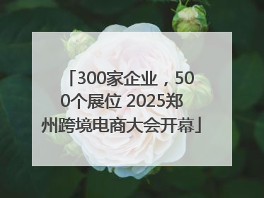 300家企业，500个展位 2025郑州跨境电商大会开幕