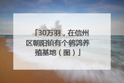 30万羽，在信州区朝阳镇有个鹌鹑养殖基地（图）