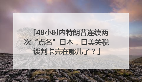 48小时内特朗普连续两次“点名”日本，日美关税谈判卡壳在哪儿了？